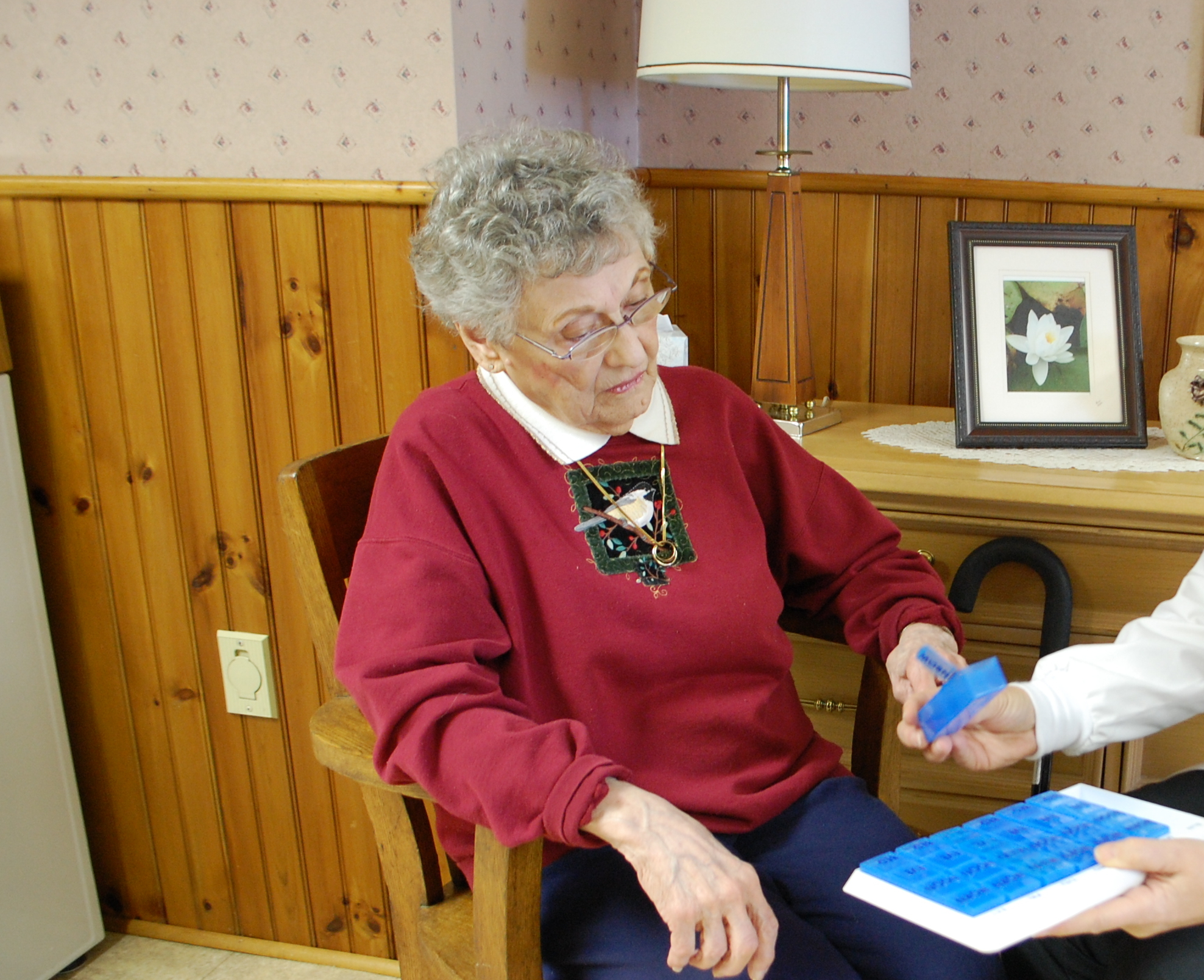 nursing-hospice